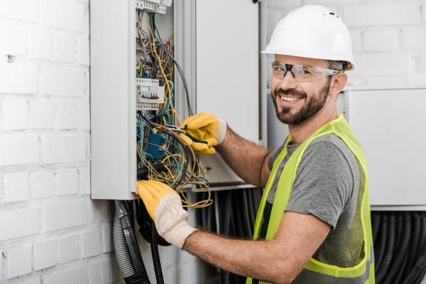 Best Electrical System Inspection  in Davison, MI